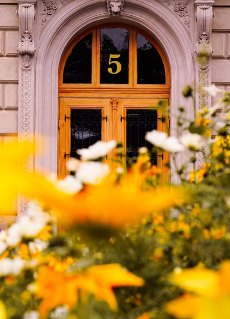 5 Common Mistakes to Avoid in Urban Gardening