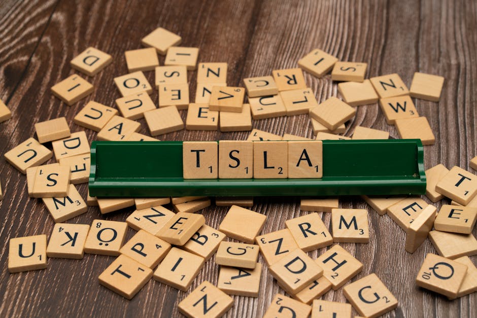 Navigating the Stock Market: Tips for New Investors