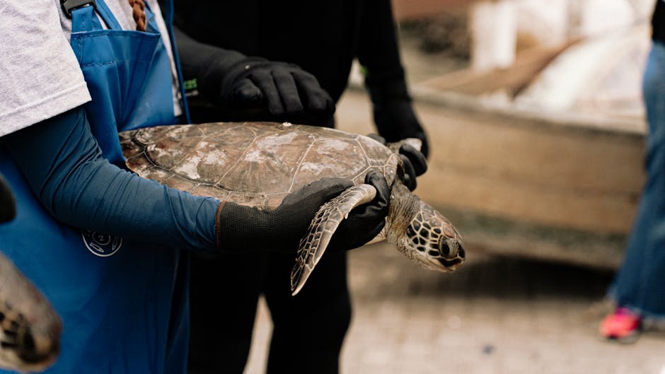 Essential Conservation Tips to Protect Marine Life