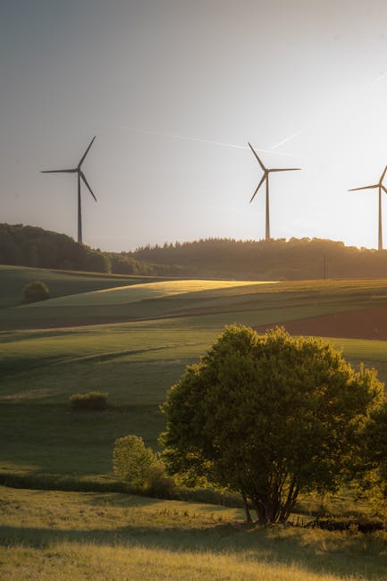 Renewable Energy Sources: Benefits and Challenges