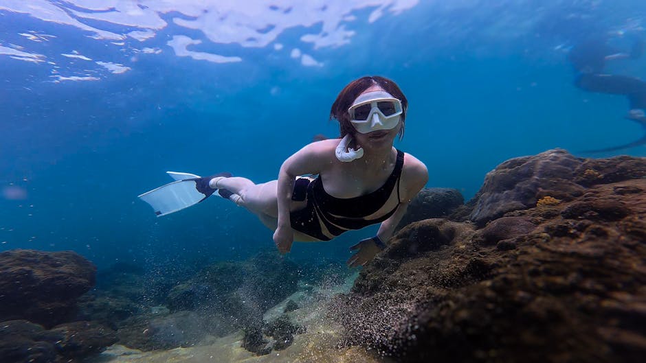 A Beginner’s Guide to Snorkeling and Exploring Marine Life